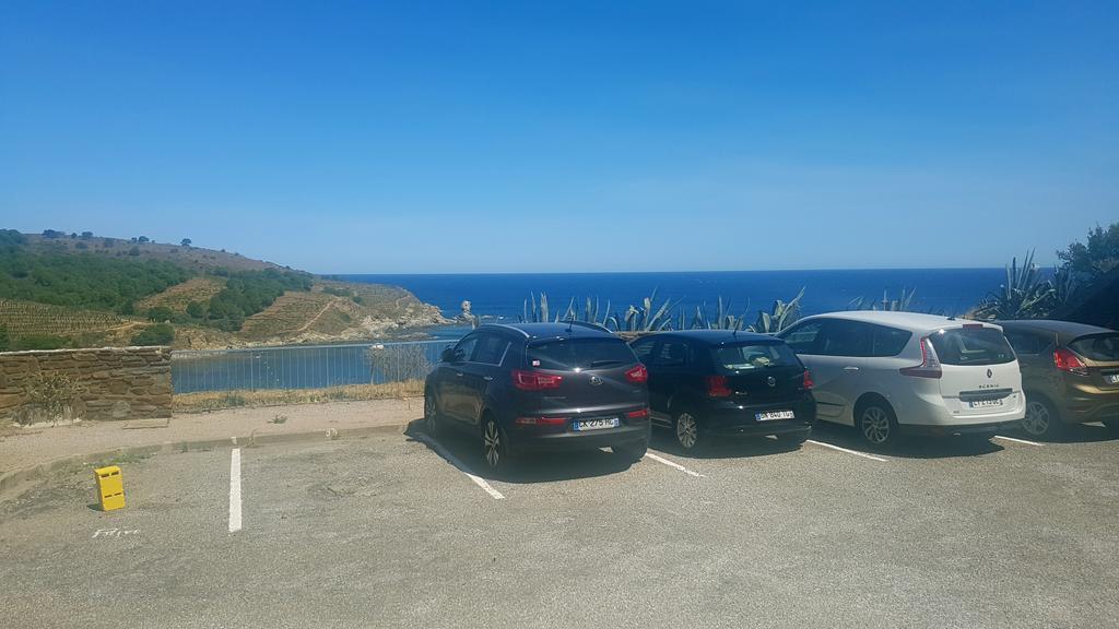 Studio "Les Roches Blanches" - Vue Mer & Vignes Banyuls-sur-Mer Dış mekan fotoğraf