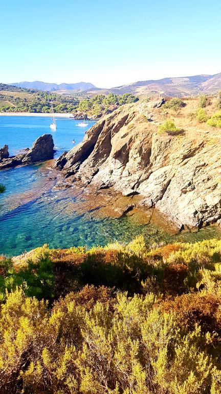 Studio "Les Roches Blanches" - Vue Mer & Vignes Banyuls-sur-Mer Dış mekan fotoğraf